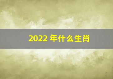 2022 年什么生肖